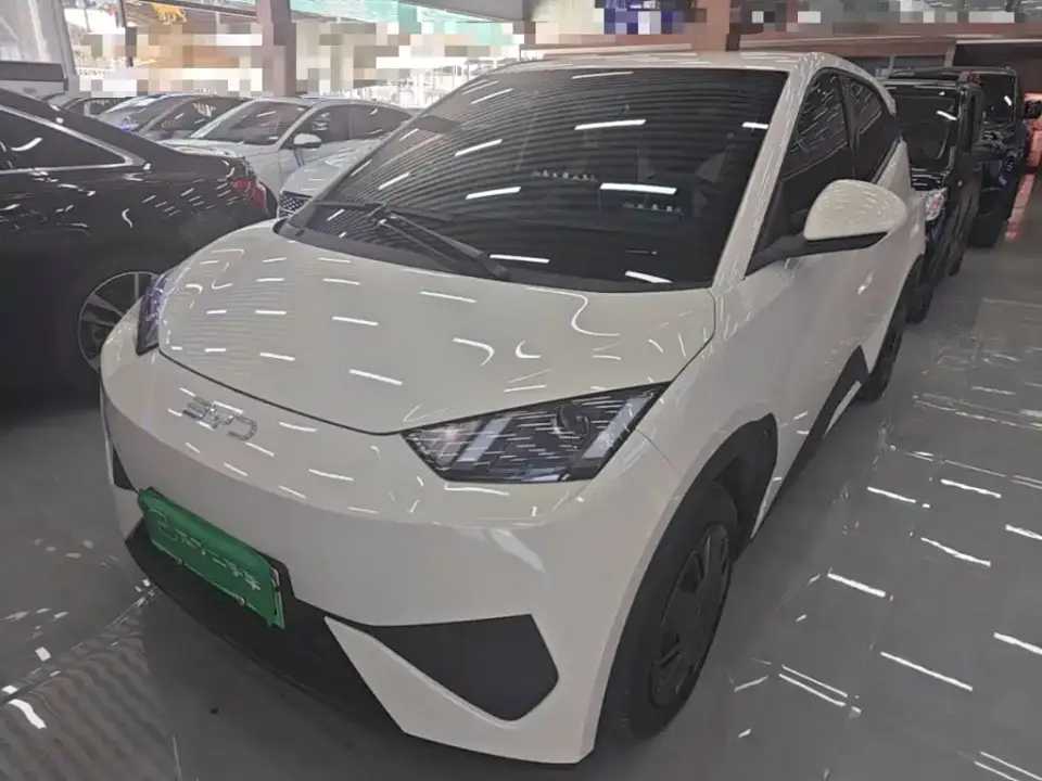 BYD Seagull 305km Vitality 2025