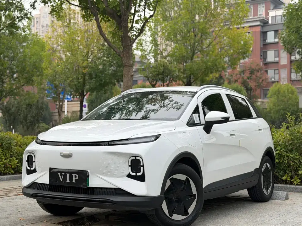 Geely Geometry E Firefly Model 301km Light Flow 2024