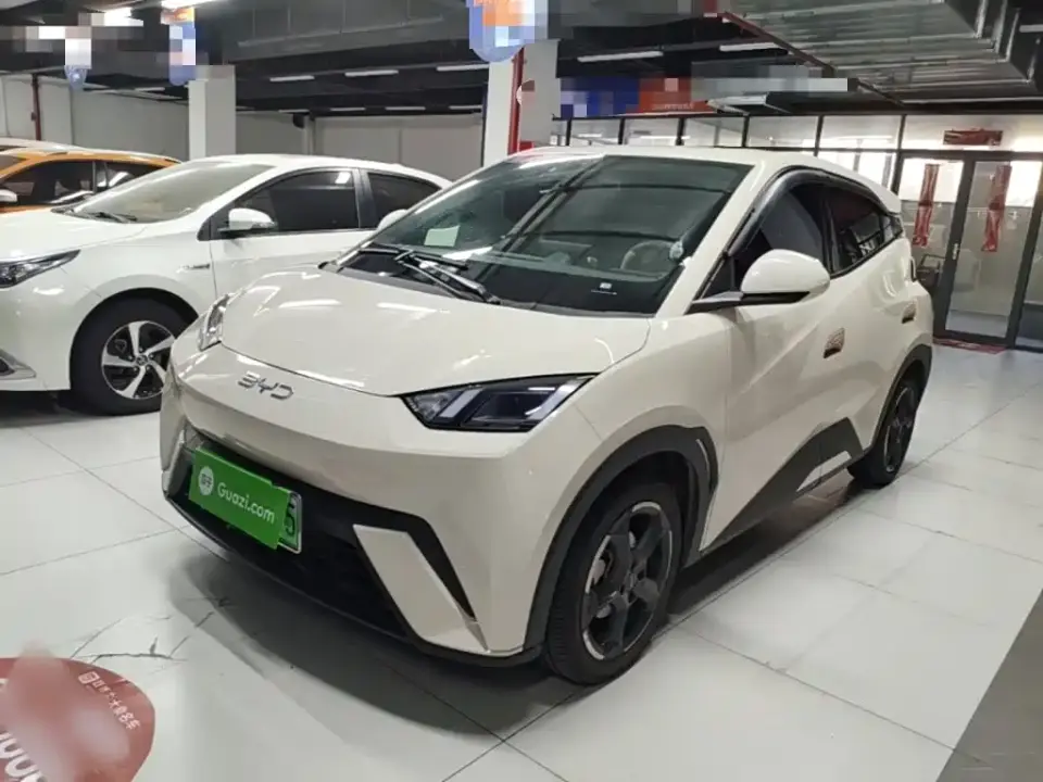 BYD Seagull Freedom Edition 2024