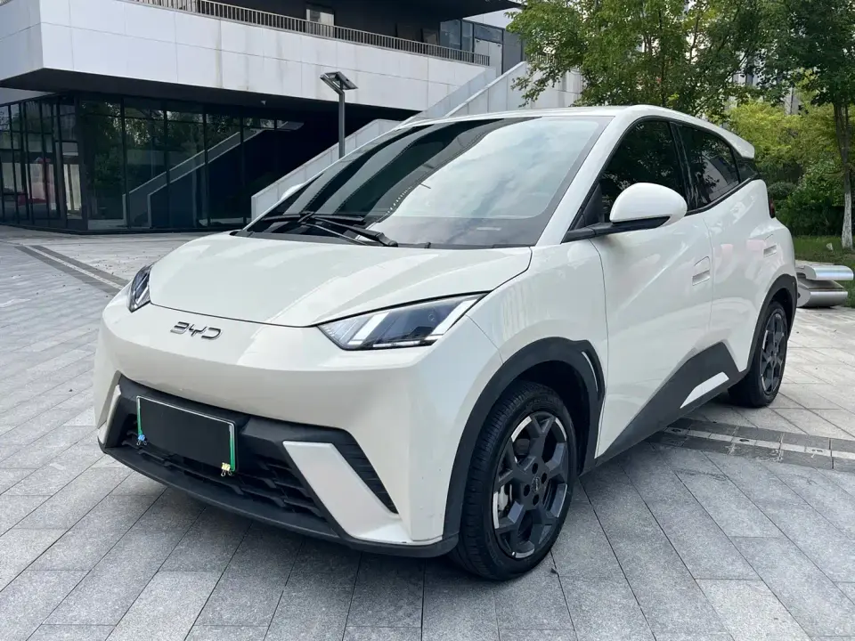 BYD Seagull 405km Soaring 2025