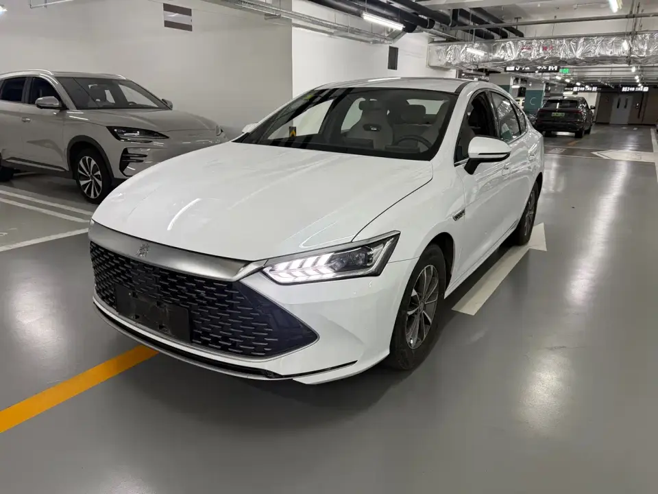 BYD Qin PLUS Glory Edition DM-i 55KM Leading 2024