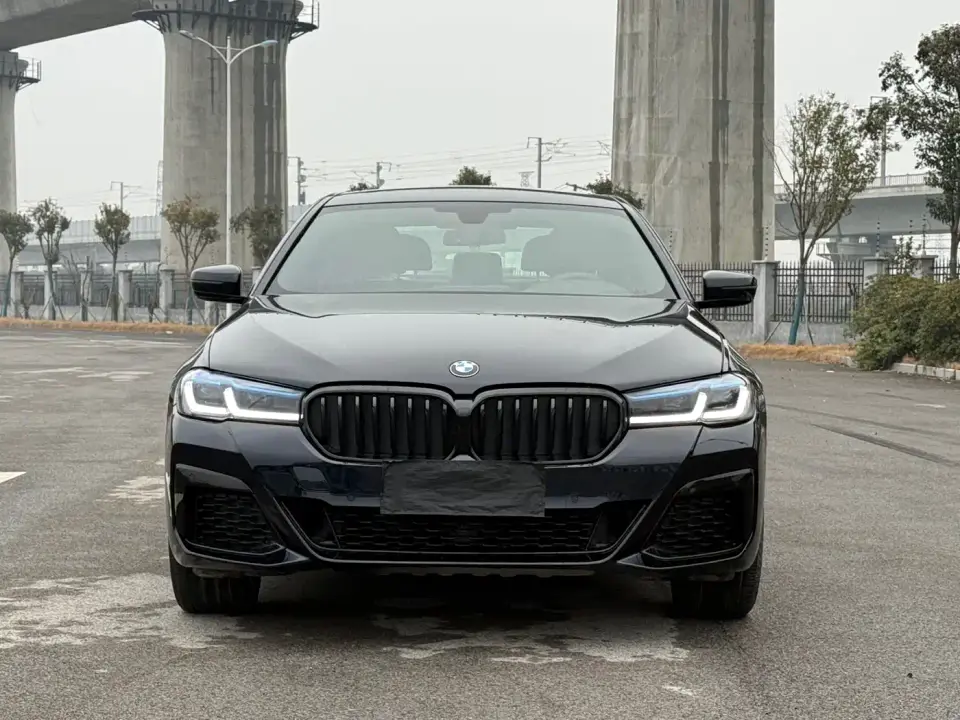 BMW 5 Series 530Li Leading M Sport Package 2019