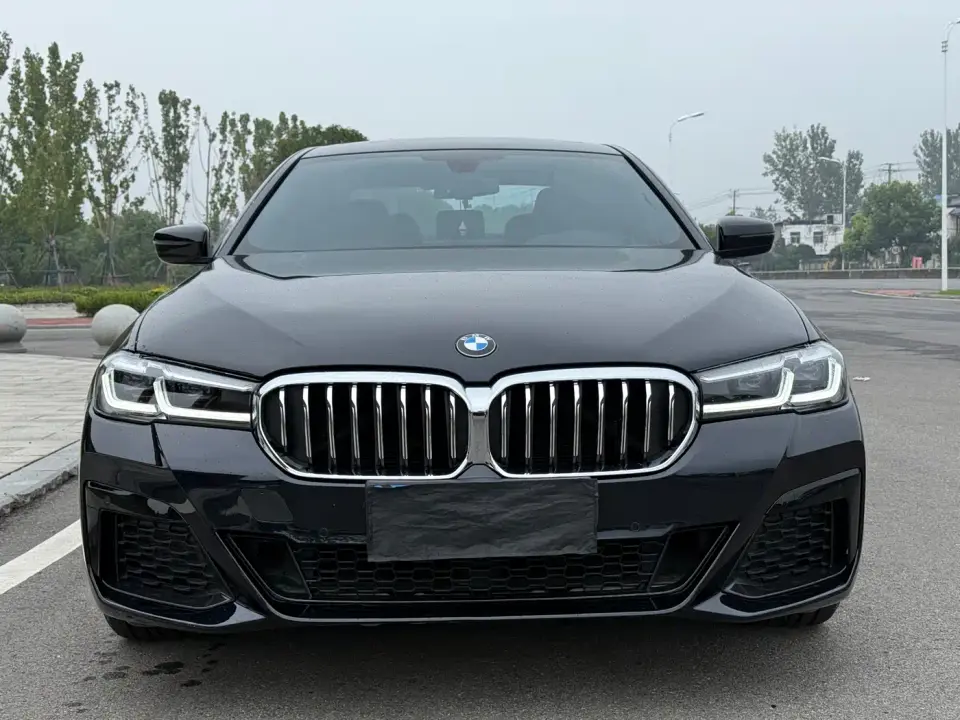 BMW 5 Series 530Li Leading M Sport Package 2020