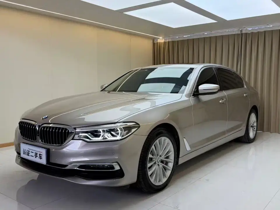 BMW 5 Series 530Li Leading Luxury Package 2019