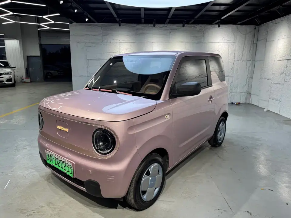 Geely Galaxy Panda Panda Mini 200km Endurance Bear 2024