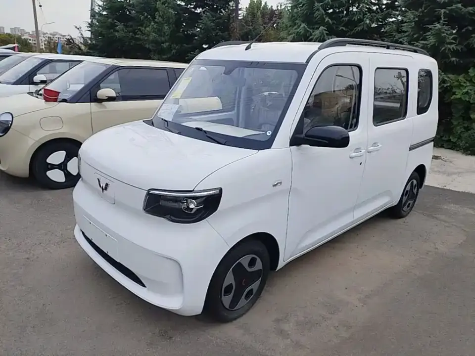 Wuling Motors Wuling Zhiguang NEV Model 305km Base Version 2026