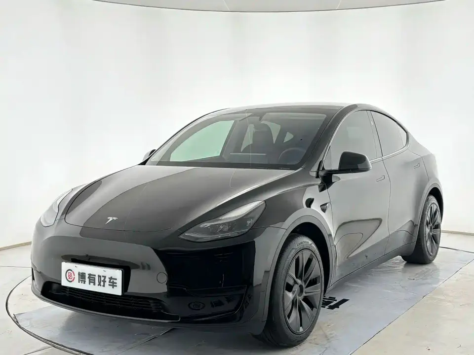 Tesla Model Y Rear-Wheel Drive Version 2024