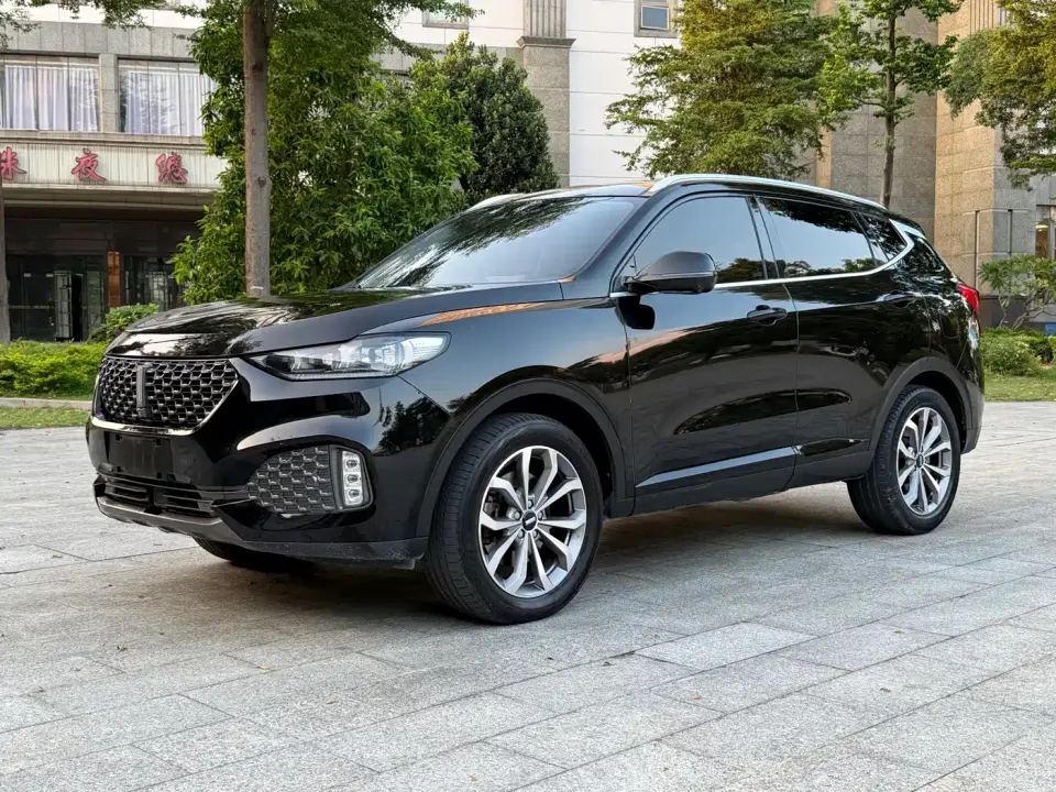 Wey VV6 2.0T 2WD Smart Protection+ 2019