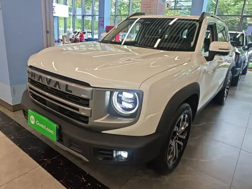 Haval Big Dog 1.5T DCT Border Collie Edition 2024