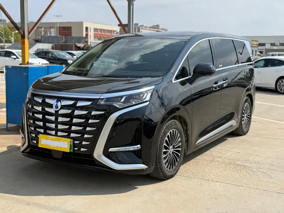 Denza D9 DM-i 1050 Premium 2025