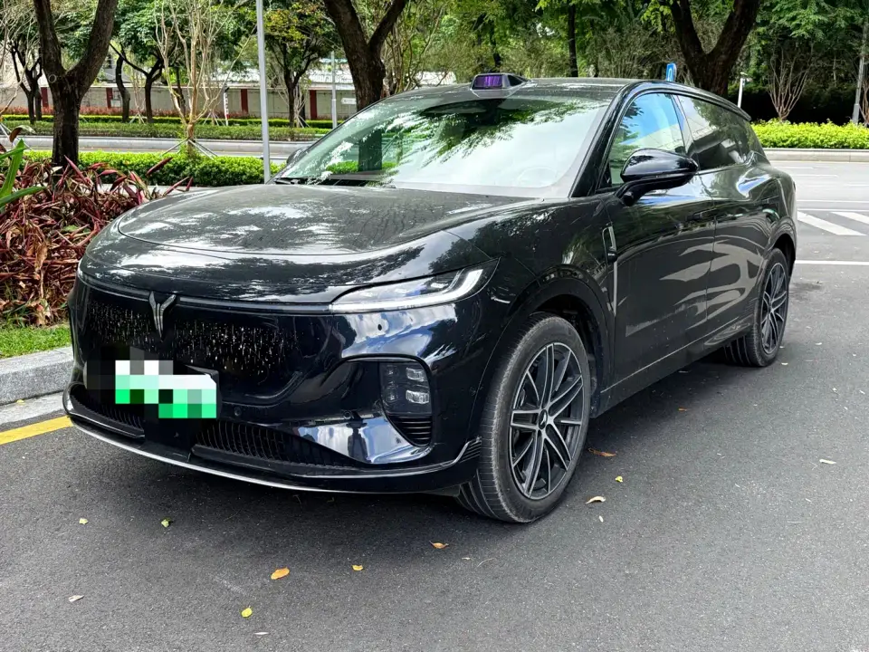 Voyah Auto Voyah Zhiyin Base 2025