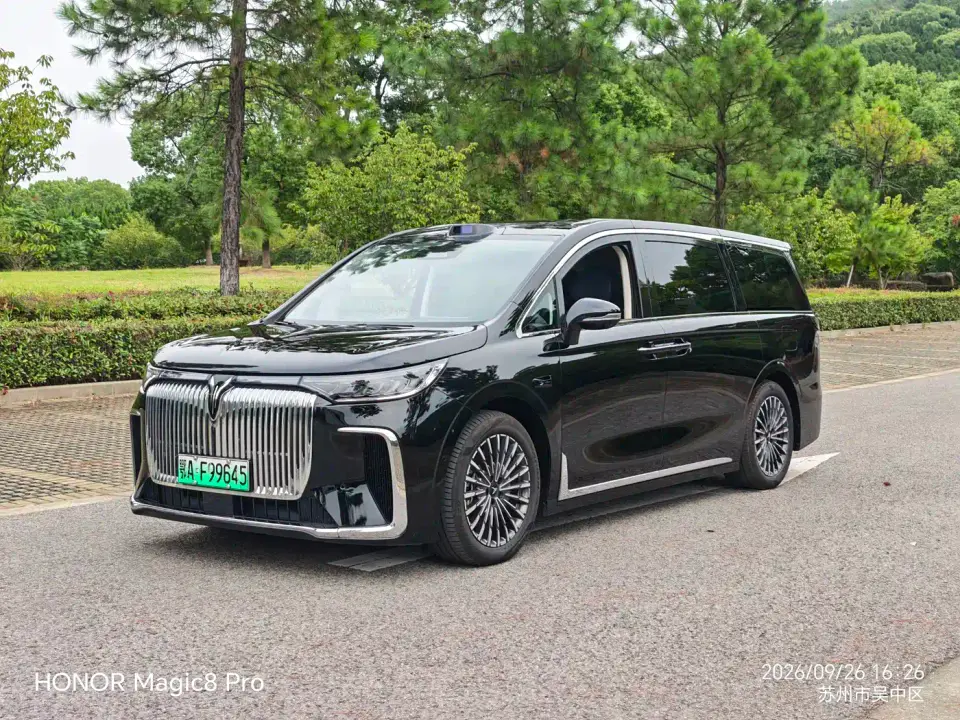 Voyah Auto Voyah Dreamer Model PHEV Basic Version 2025