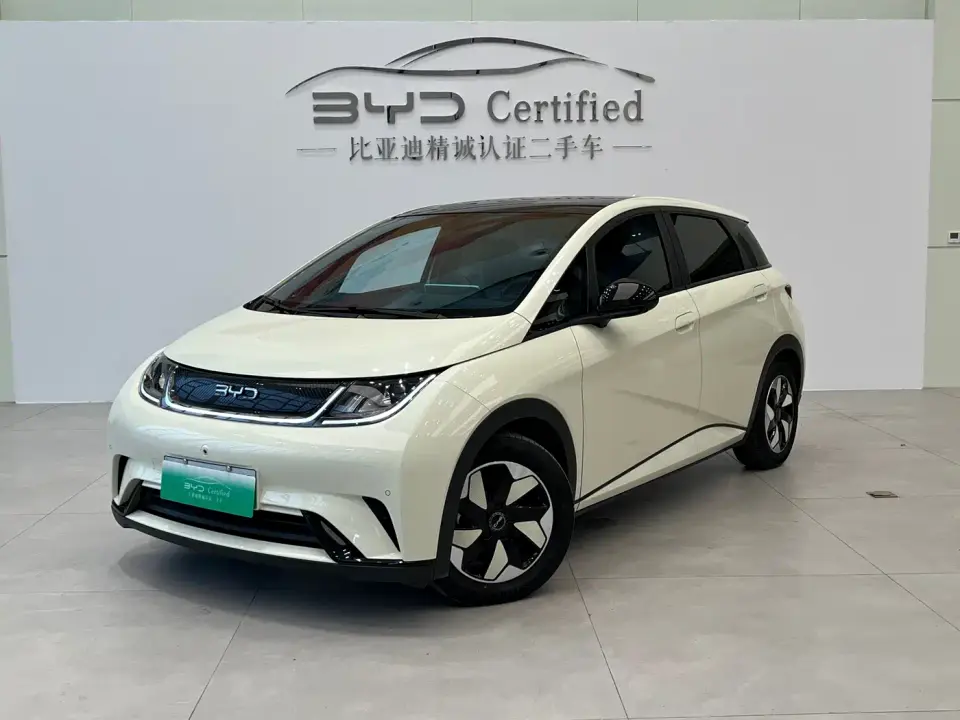 BYD Dolphin Glory Edition 420km Fashion Edition 2024