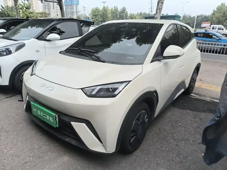 BYD Seagull Glory Edition 305km Vitality Edition 2024