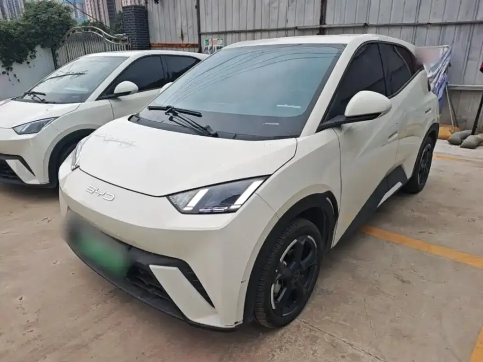 BYD Seagull Flying Edition 2024