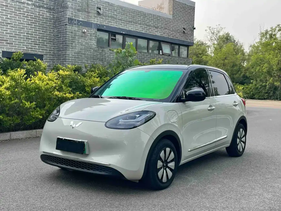 Wuling Motors Wuling Bingo 333km Comfort Edition 2024
