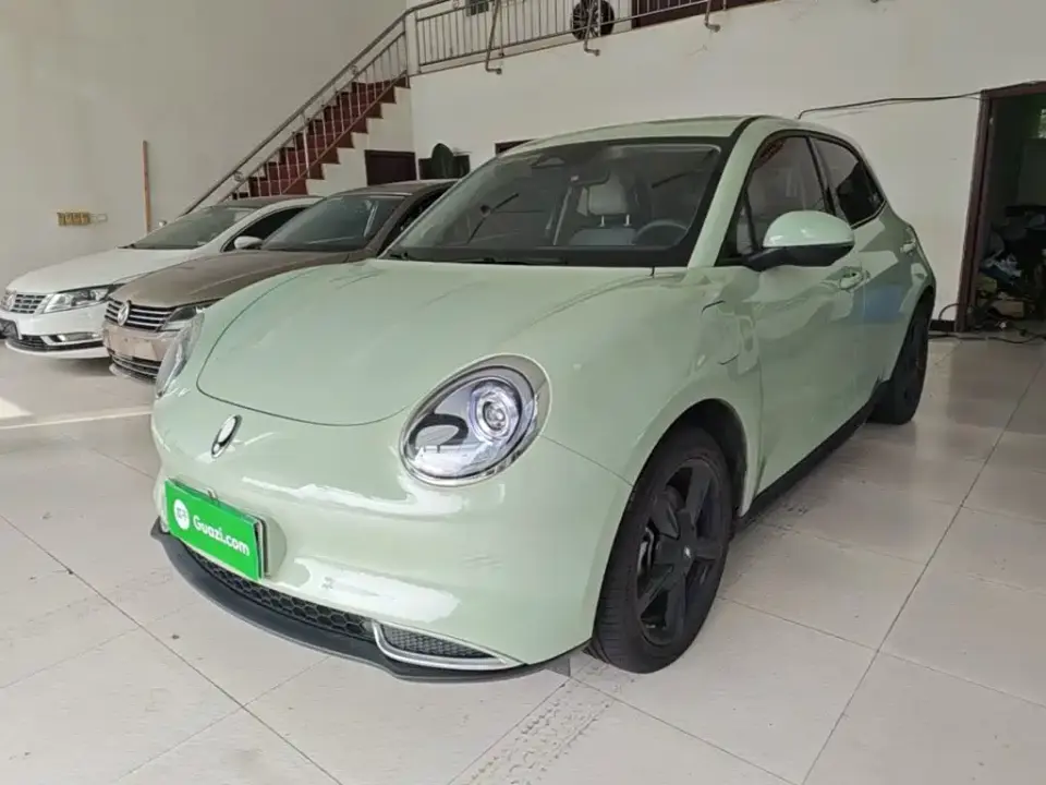 ORA Good Cat 401km Luxury 2024