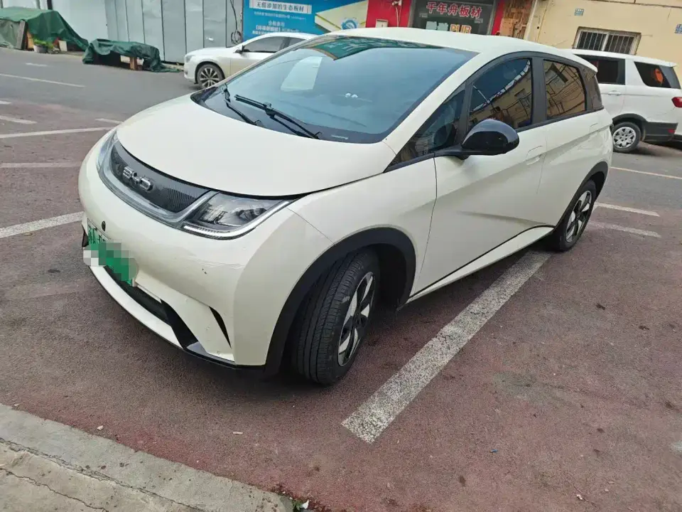 BYD Dolphin Smart Drive Edition 420km Freedom Version 2025
