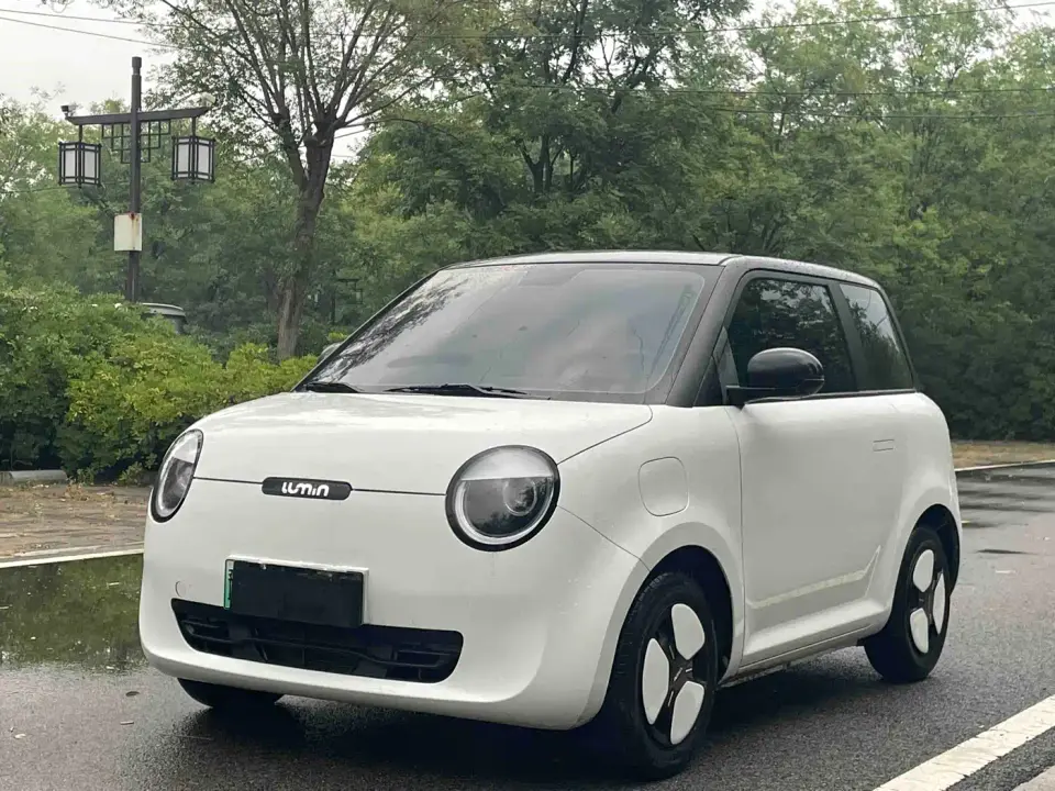 Changan Qiyuan Changan Lumin Model 205km Fragrant Edition 2024
