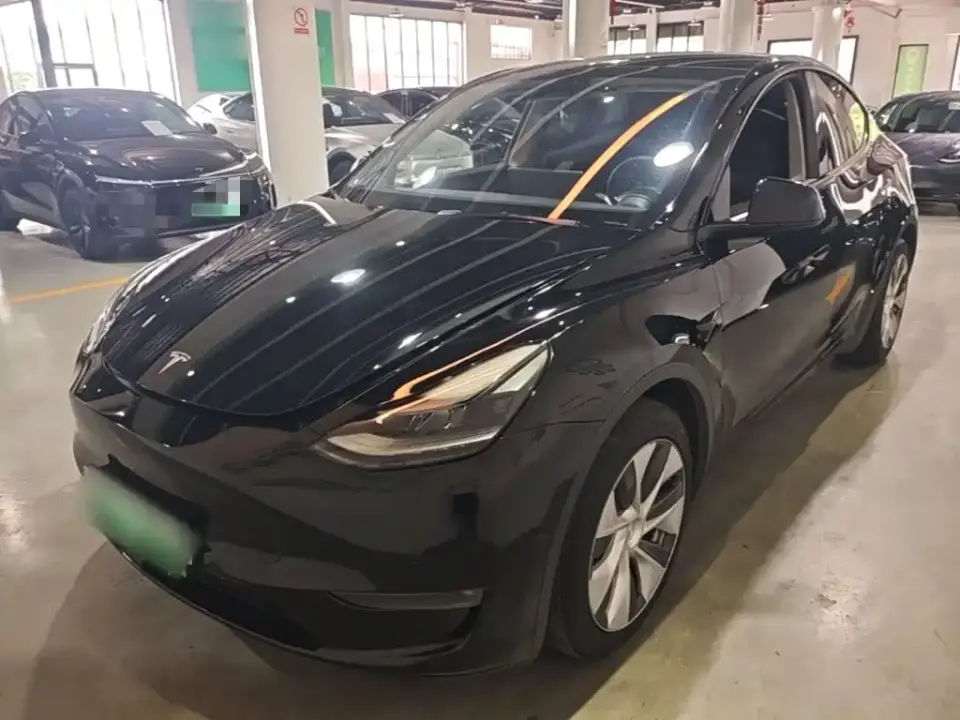 Tesla Model Y Model Long Range AWD 2021