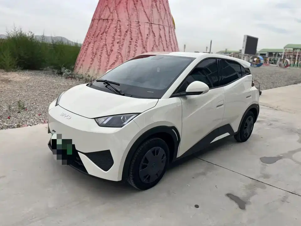 BYD Seagull Glory Edition 305km Vitality Edition 2024
