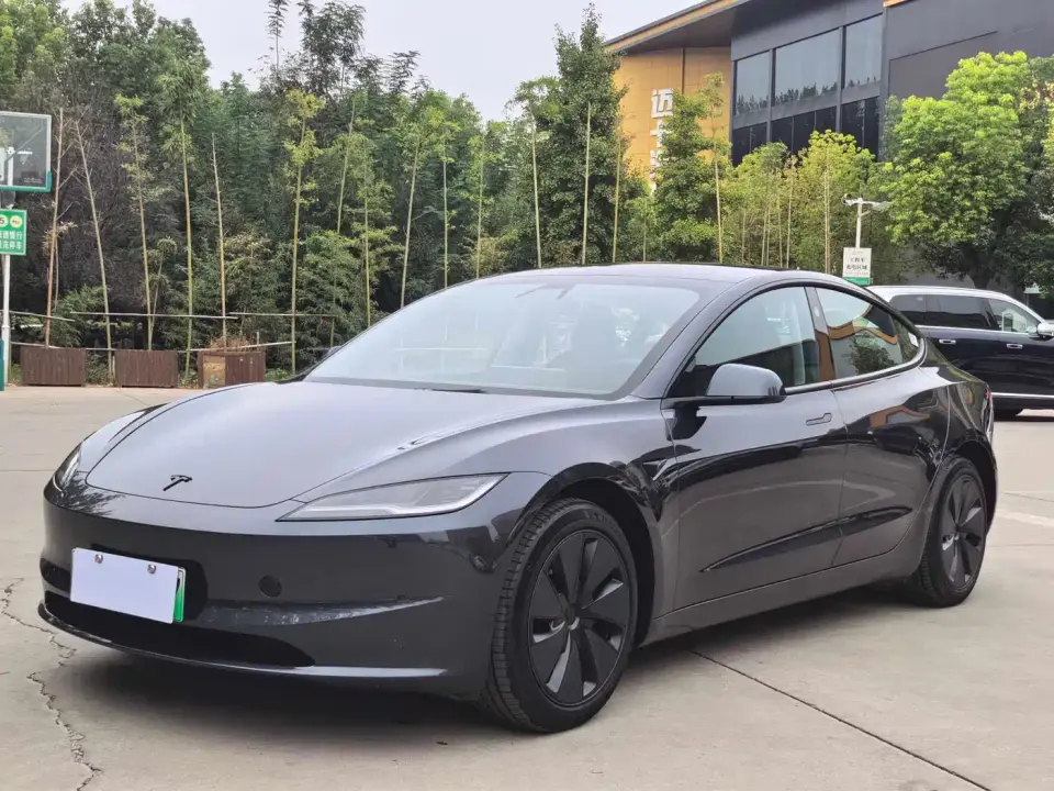 Tesla Model 3 Rear-Wheel Drive 2025