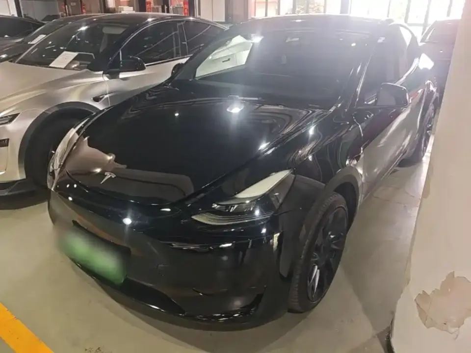 Tesla Model Y Rear-Wheel Drive Version 2022