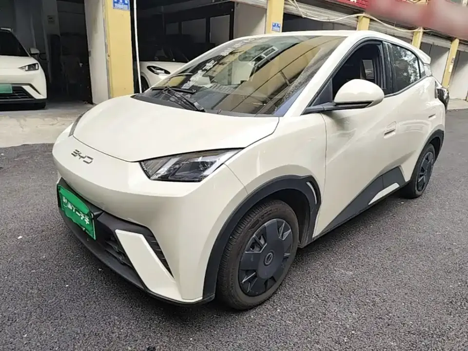 BYD Seagull Glory Edition 305km Vitality Edition 2024