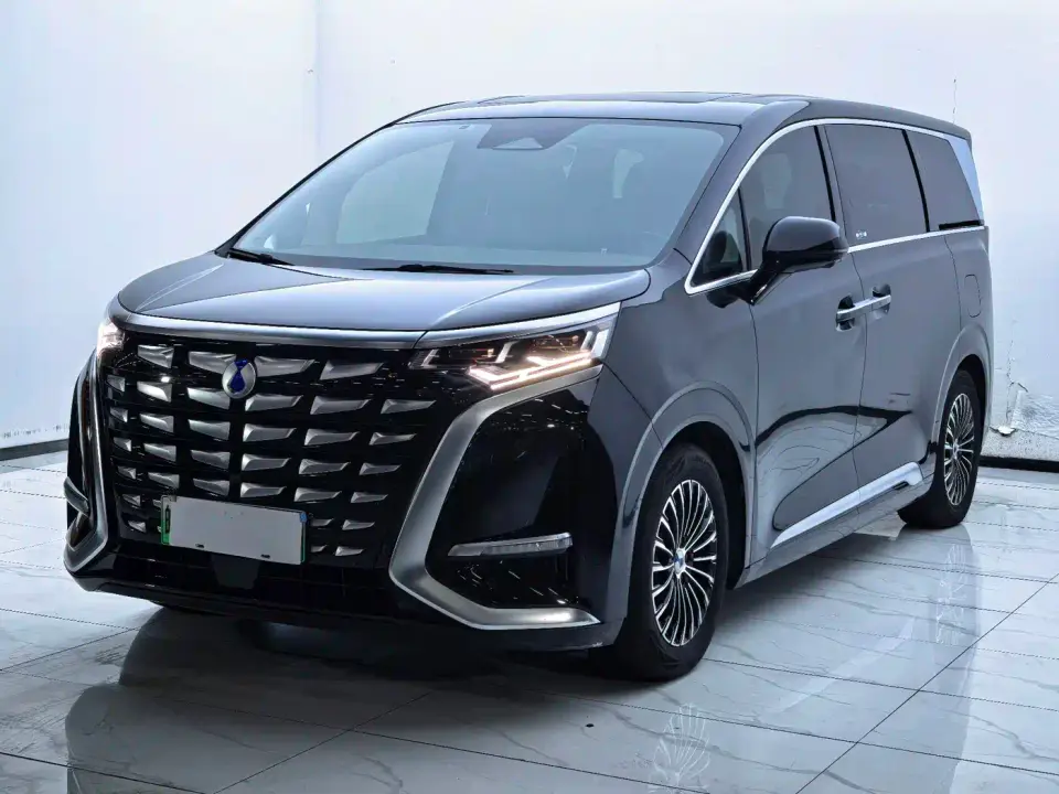Denza D9 DM-i 1050 Premium 2024