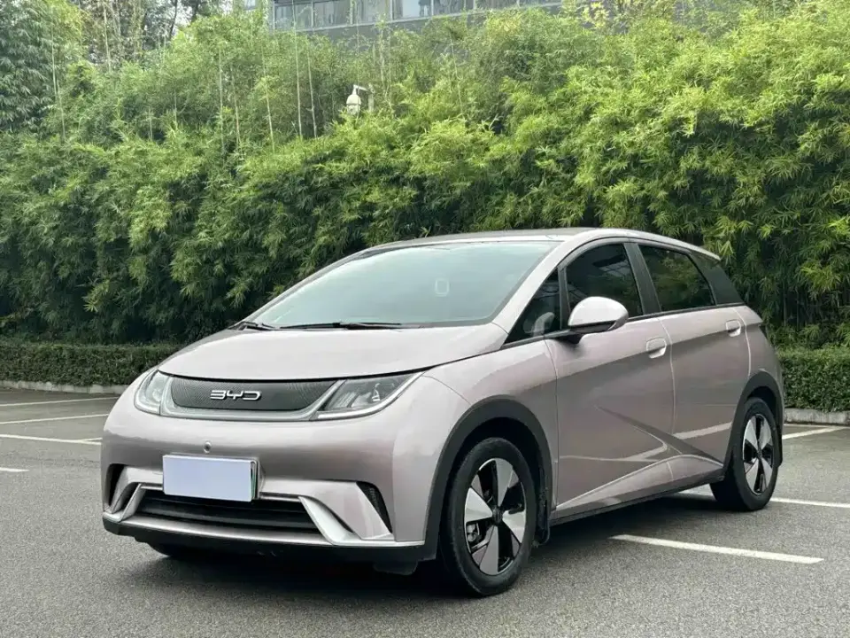 BYD Dolphin 420km Freedom Edition 2023