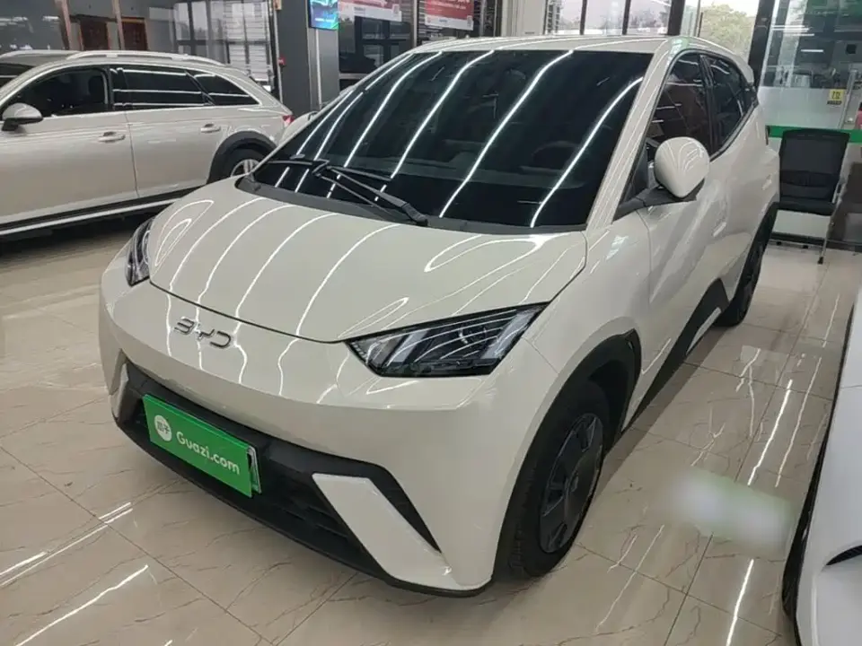 BYD Seagull 305km Vitality 2025