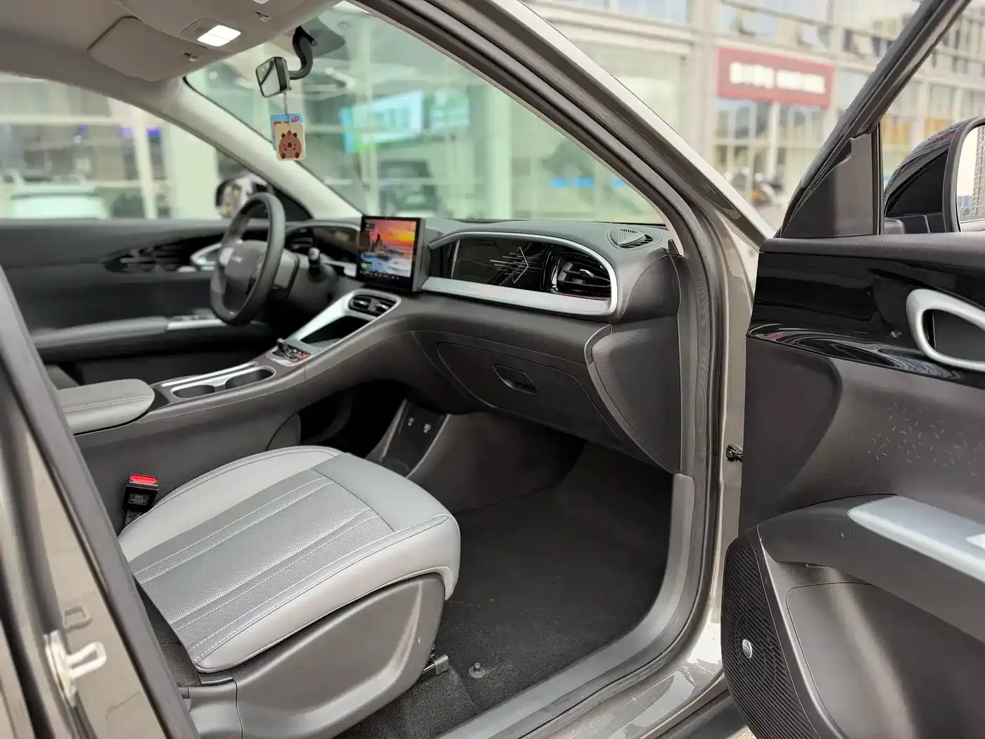 Geely Galaxy Starry Wish 410km Freedom Edition 2025 — фото 16