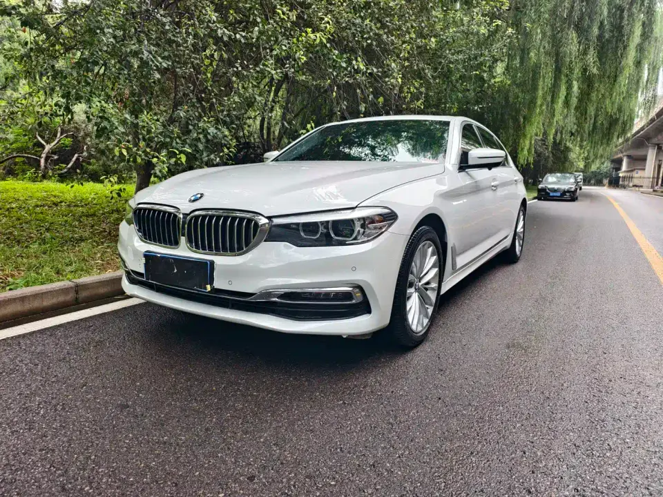 BMW 5 Series 530Li Leading M Sport Package 2019