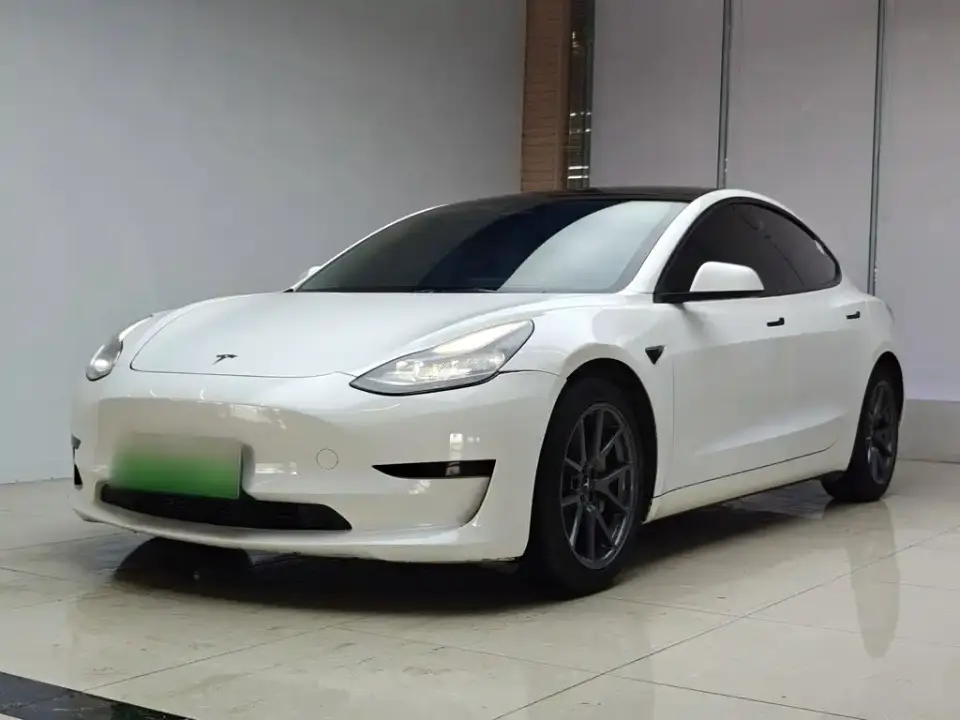 Tesla Model 3 Standard Range Rear-Wheel Drive Upgrade 3D6 2021