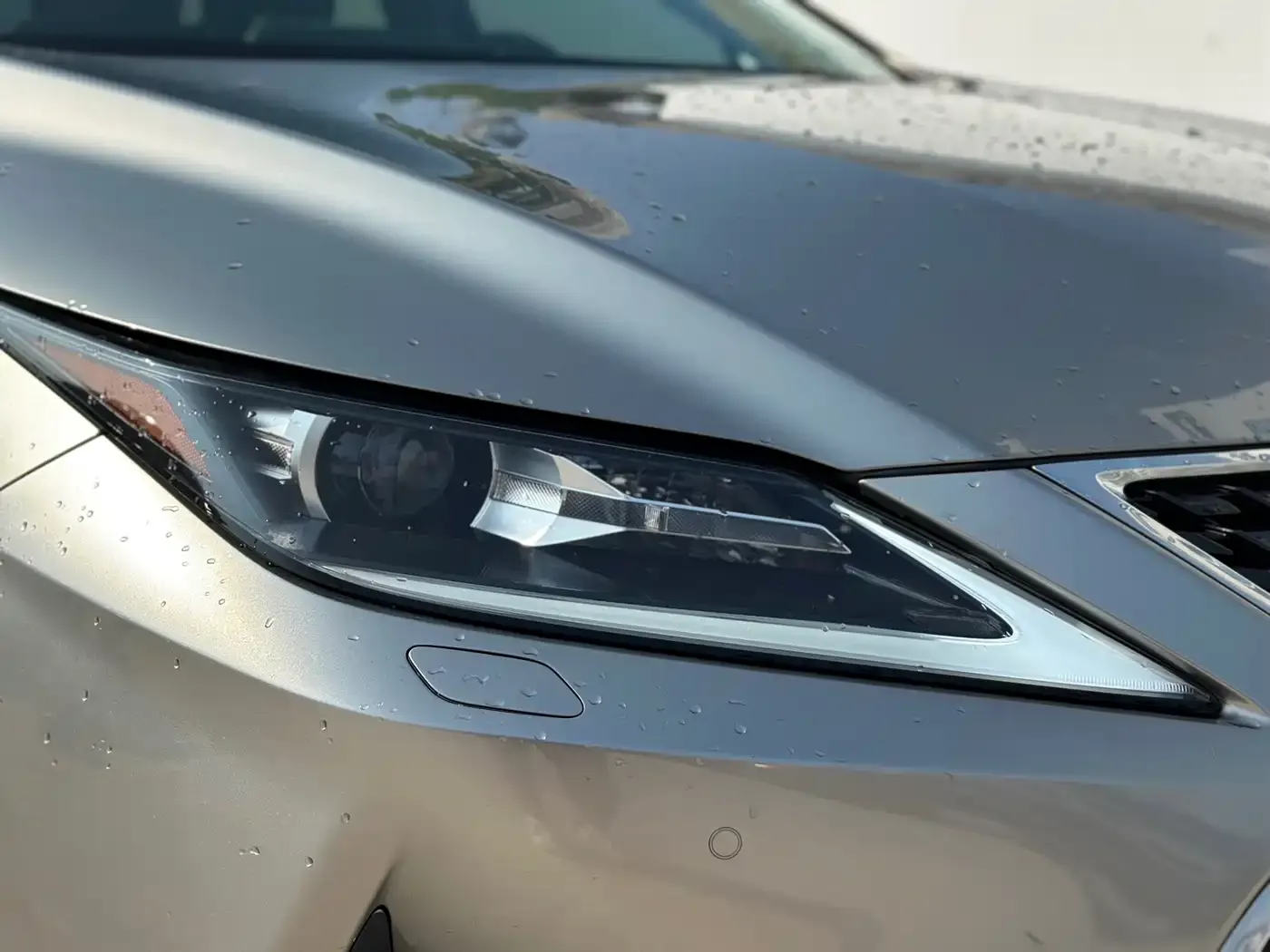 Lexus RX Facelift 300 2WD Elite Edition 2021 — фото 4