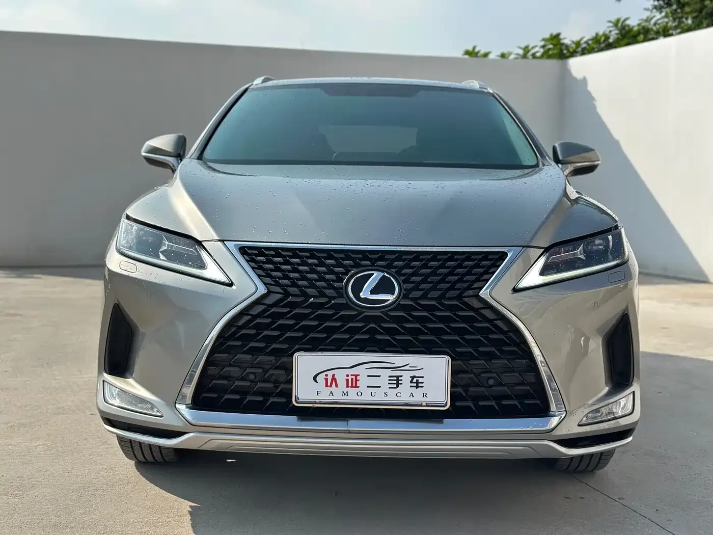 Lexus RX Facelift 300 2WD Elite Edition 2021 — фото 2