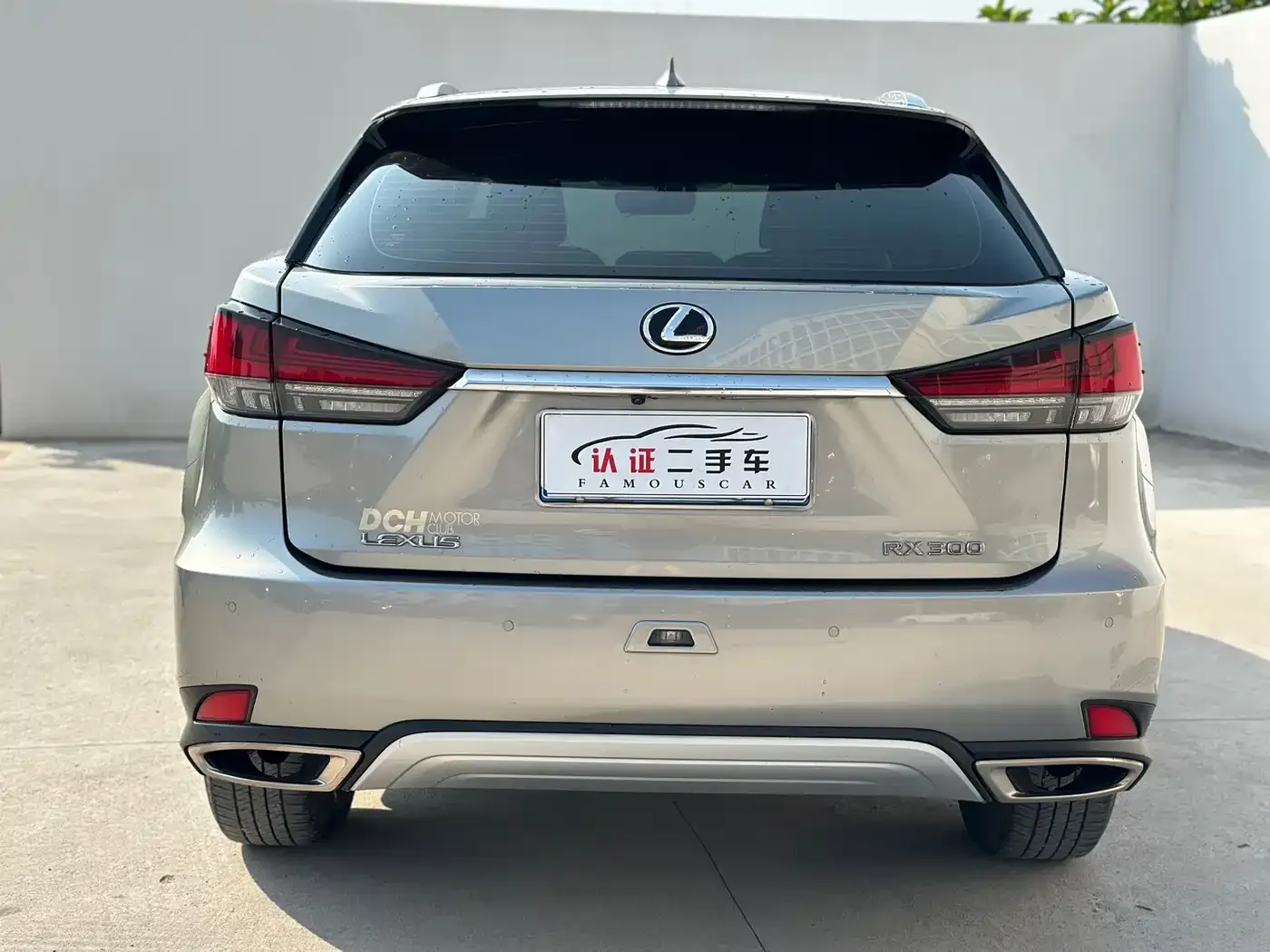Lexus RX Facelift 300 2WD Elite Edition 2021 — фото 17