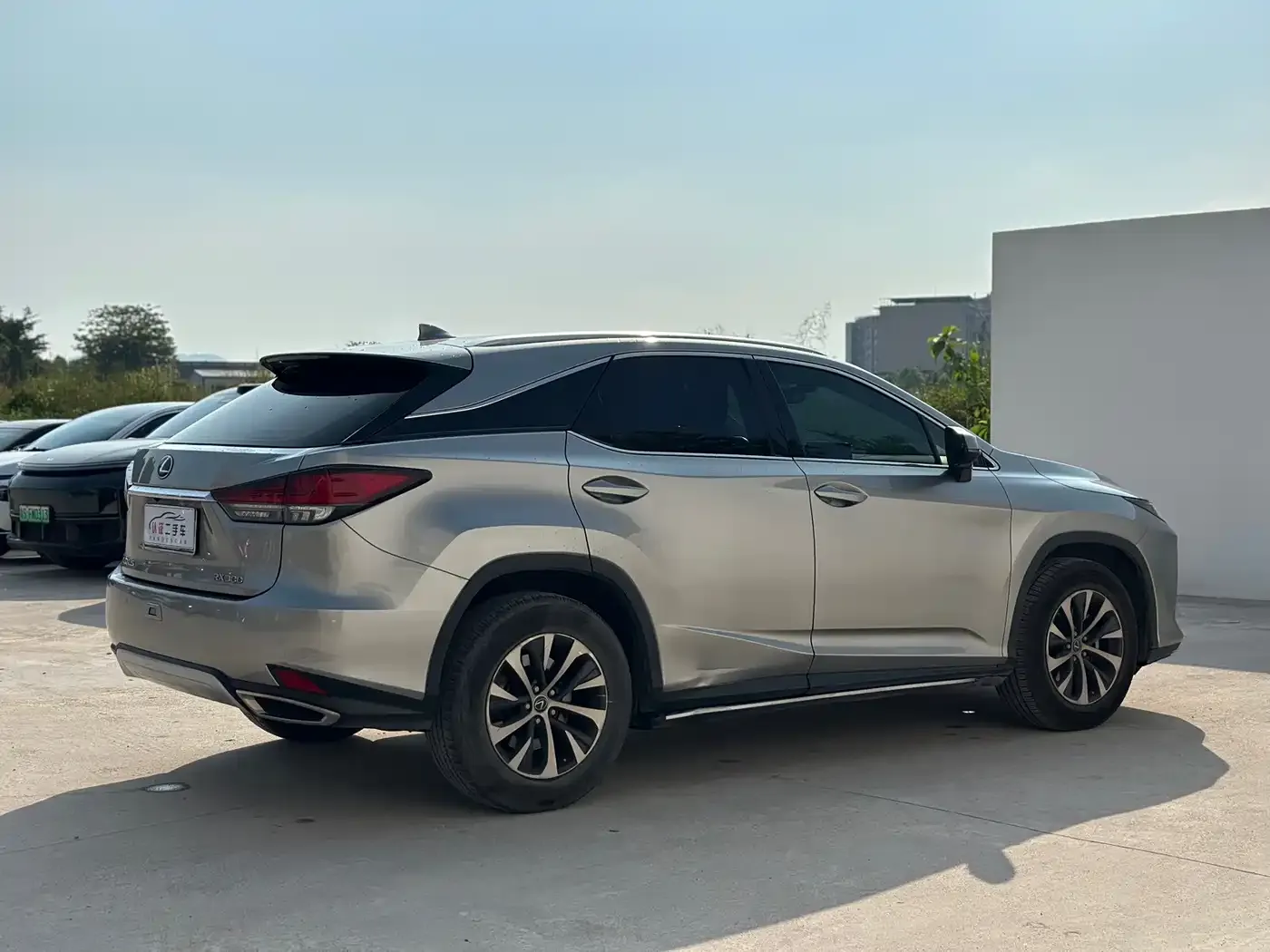 Lexus RX Facelift 300 2WD Elite Edition 2021 — фото 16