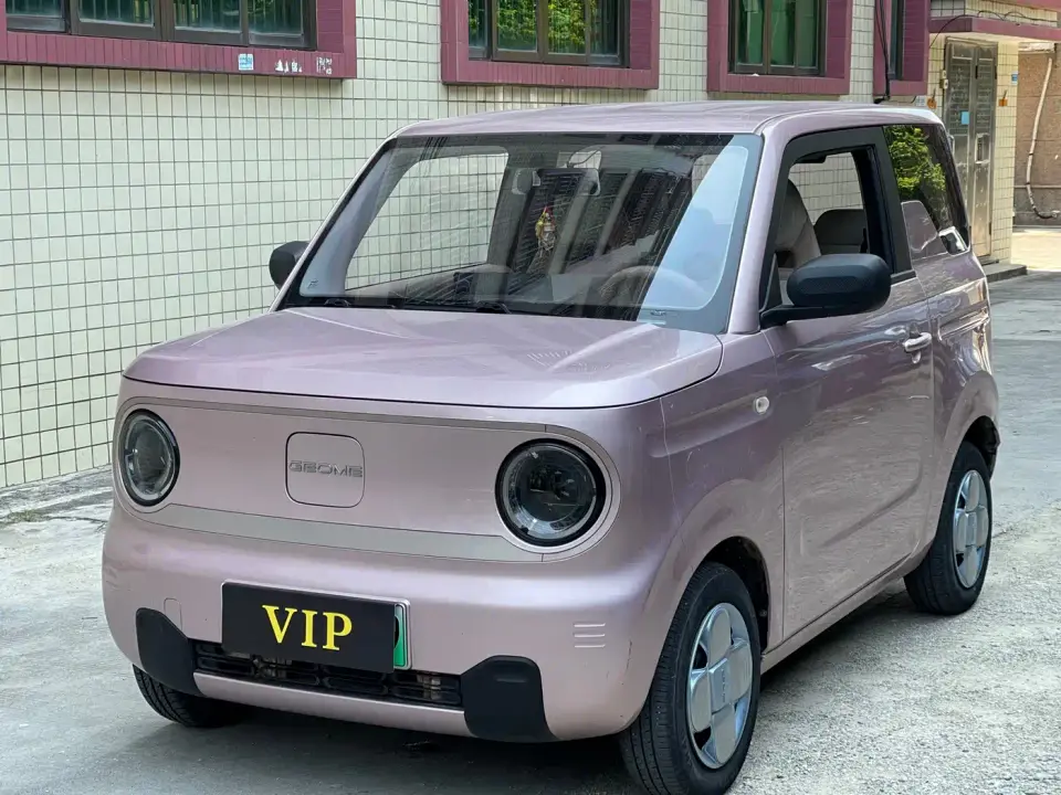 Geely Galaxy Panda Panda Mini 200km Endurance Bear 2023