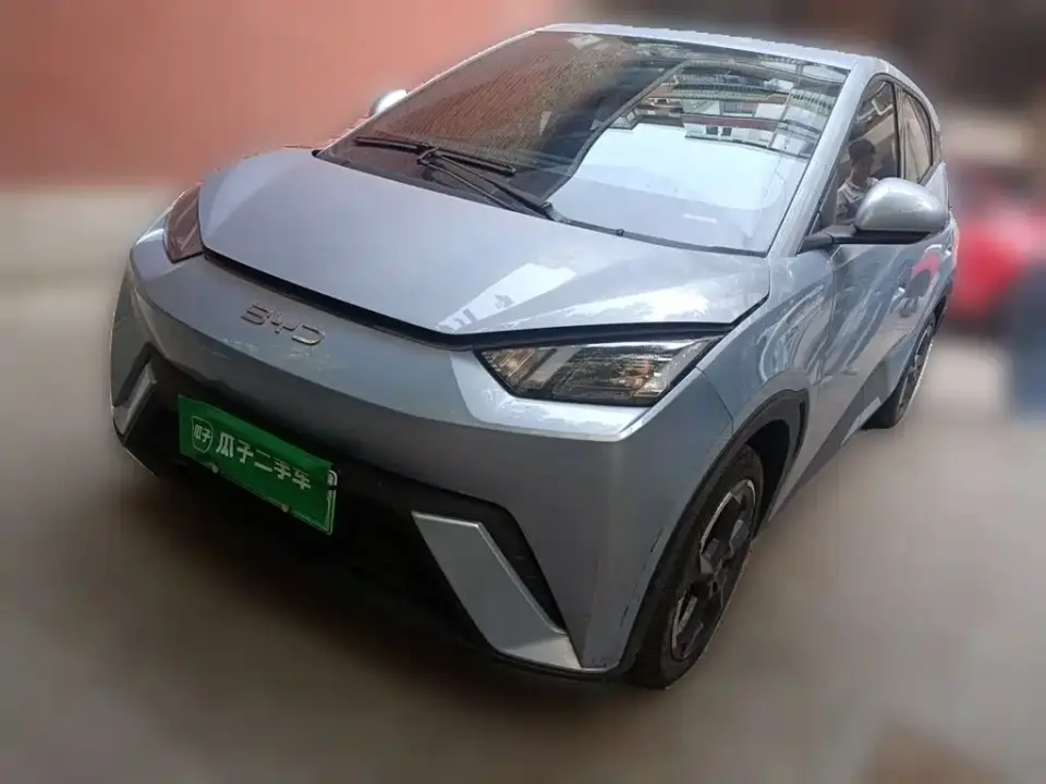 BYD Seagull Glory Edition 305km Freedom Edition 2024