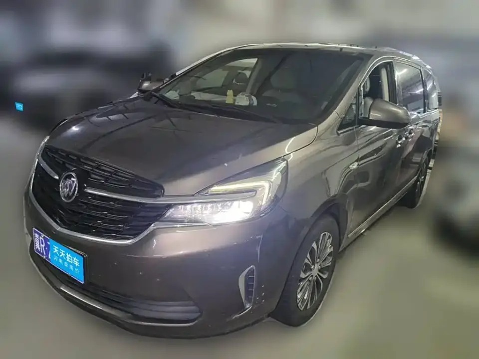 Buick GL8 Land Business Class 652T Luxury 2021