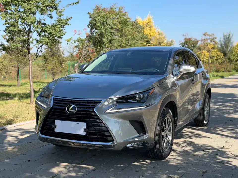 Lexus NX 200 FWD Fengyi Edition China VI 2020