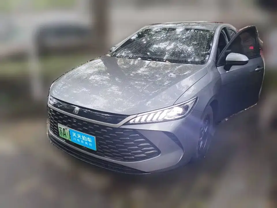 BYD Qin PLUS DM-i Smart Drive 55KM Leader 2025