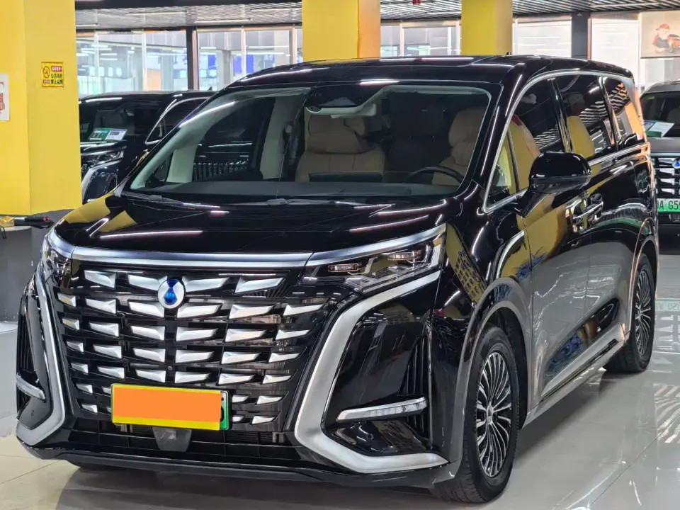 Denza D9 DM-i 980 AWD Flagship 2024