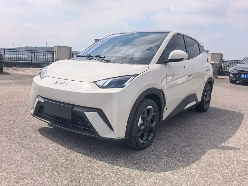 BYD Seagull 305km Freedom 2025