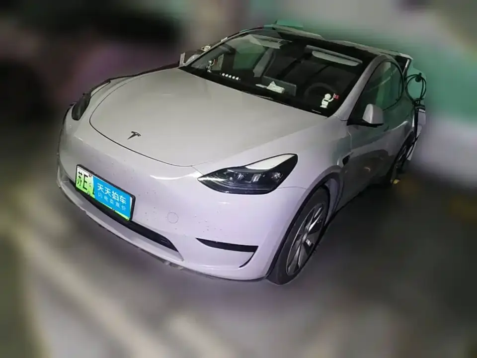 Tesla Model Y Rear-Wheel Drive Version 2022