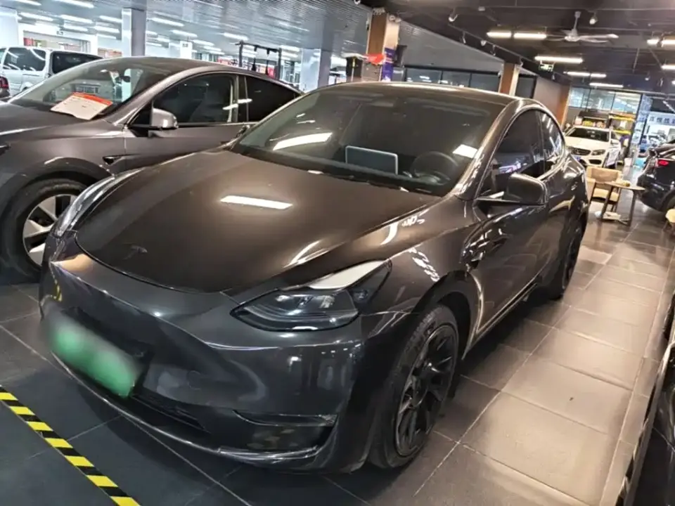 Tesla Model Y Standard Range Rear-Wheel Drive 2021