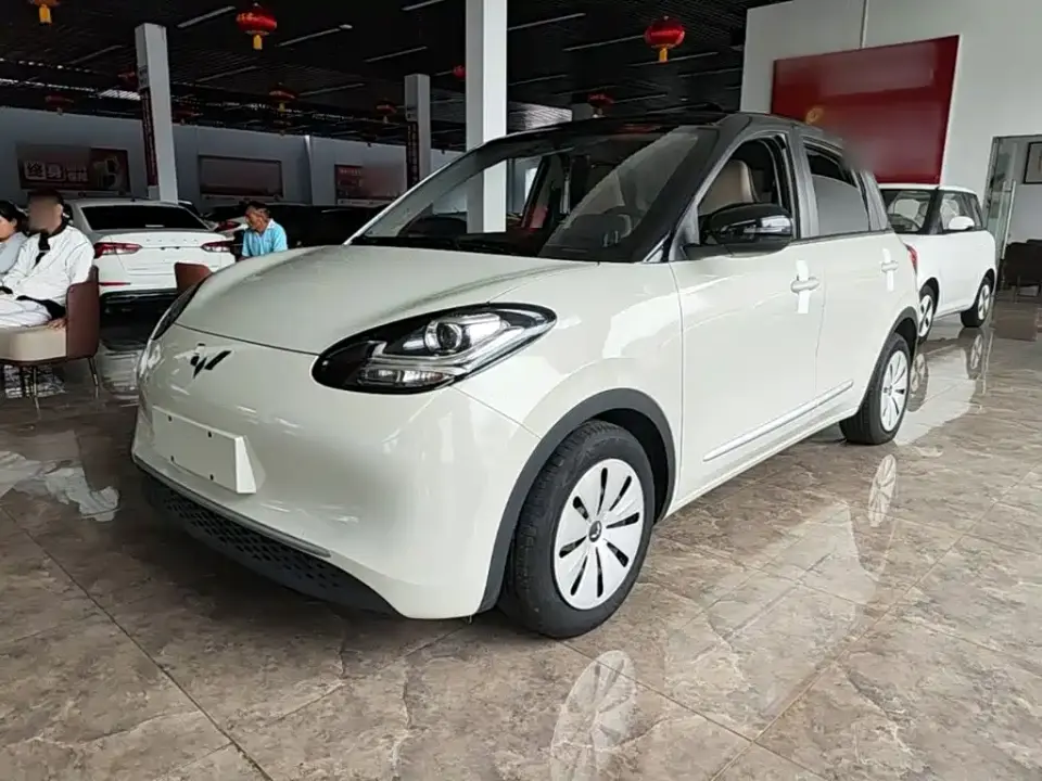 Wuling Motors Wuling Bingo Model 203km Lite Enjoyment Edition 2023