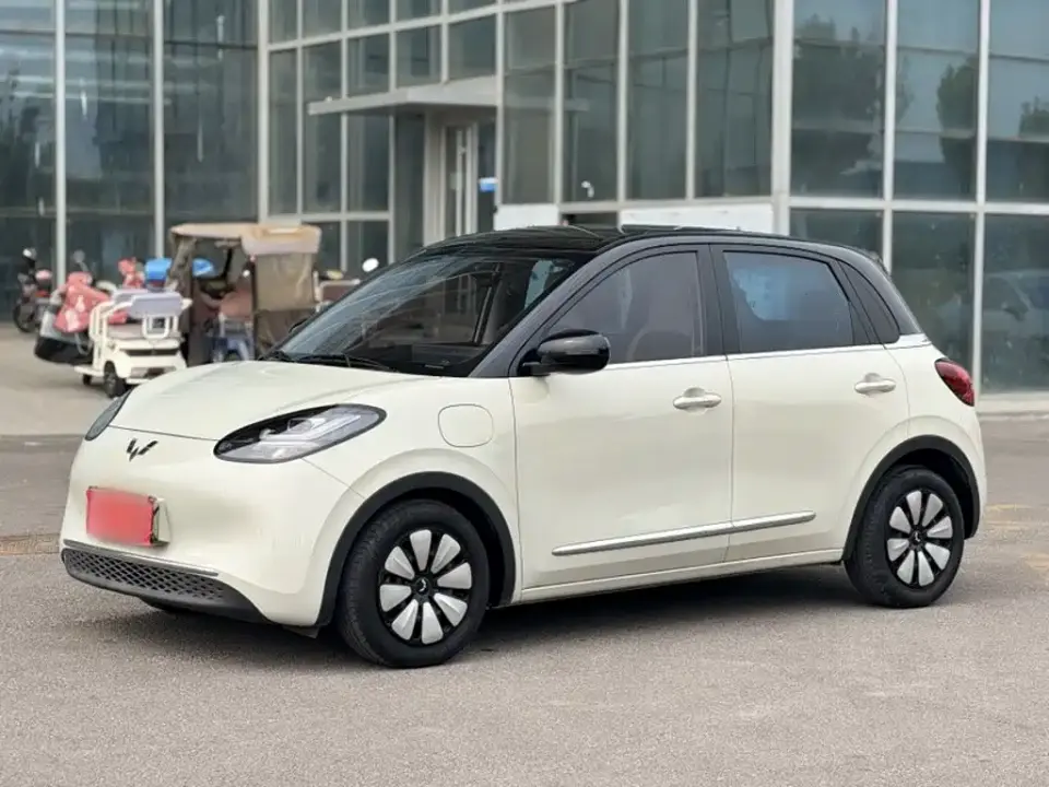 Wuling Motors Wuling Bingo Model 333km Joy+ Version 2024