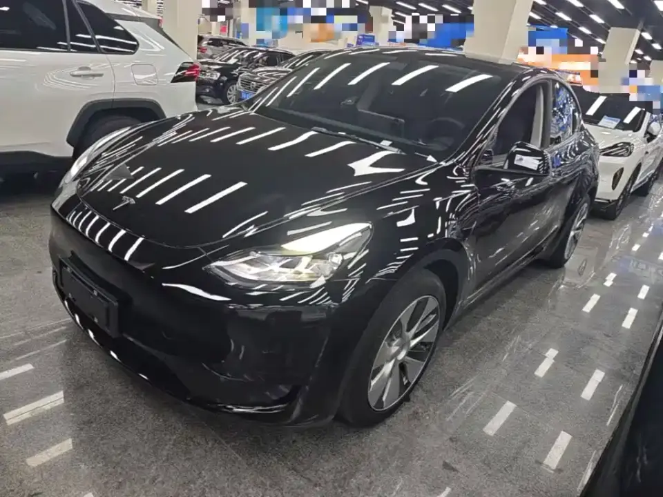 Tesla Model Y Rear-Wheel Drive Version 2022
